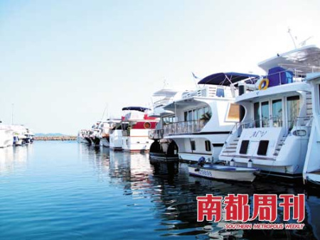 码头的海水很干净清彻，能看到很大条的鱼